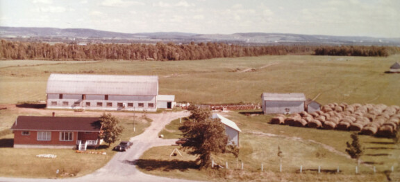 Claude_Cormier_img21